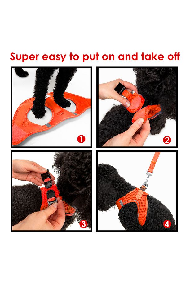 Kedi Köpek Air-Mesh Göğüs Tasması ve Gezdirme Sevk Kayışı Seti 2Sİ1 ARADA Neon Turuncu - 7
