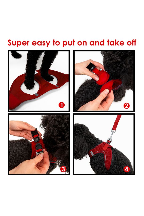 Kedi Köpek Air-Mesh Göğüs Tasması ve Gezdirme Sevk Kayışı Seti 2Sİ1 ARADA Kırmızı - 7