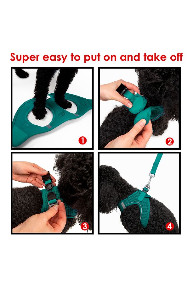 Kedi Köpek Air-Mesh Göğüs Tasması ve Gezdirme Sevk Kayışı Seti 2Sİ1 ARADA Yeşil - 7