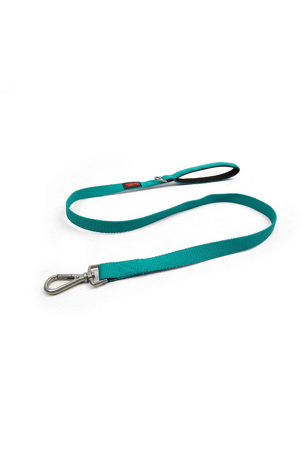 Kedi Köpek Sevk & Gezdirme Kayışı Emerald - 1