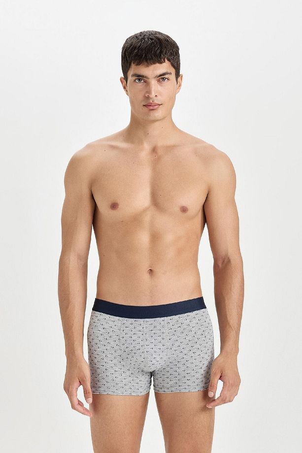 Regular Fit 3'lü Boxer E0121ax24au - 2