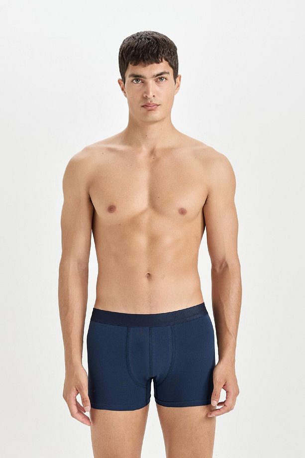 Regular Fit 3'lü Boxer E0121ax24au - 4
