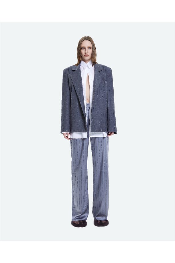Luminescent Crystal Pant In Gray Kadın Gri Taş Şerit Detaylı Parlak Düz Kesim Pantolon - 1