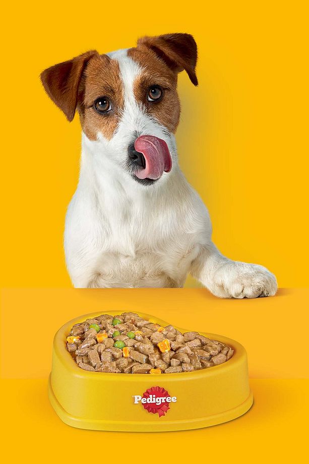 Rodeo Köpek Çiğneme Çerezi 70 G 10x - 3