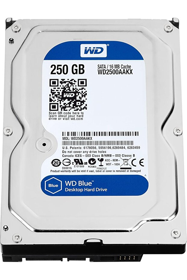 RVZ 250 Gb Hdd WD2500AAJS 7200 RPM 3.5" 250 GB Harddisk