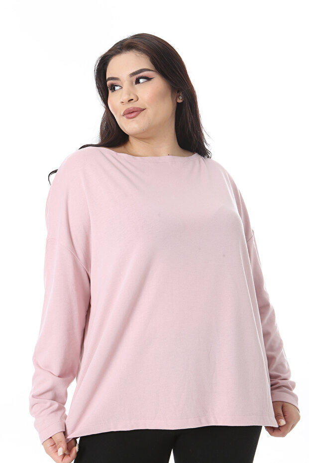 Women's Plus Size Pink Crew Neck Long Sleeve Blouse 65N38538