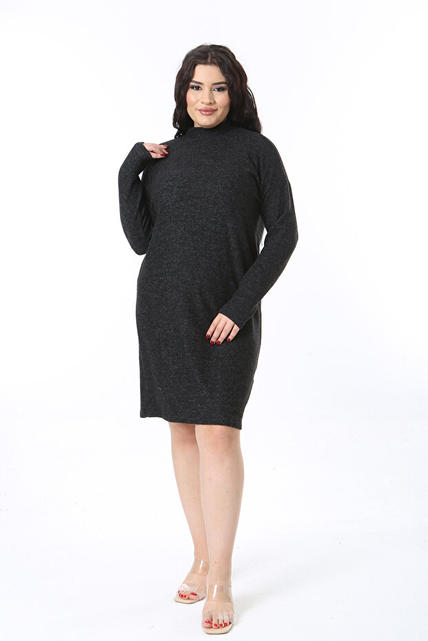 Women's Plus Size Black Soft Fabric Crew Neck Long Sleeve Dress 65N38591
