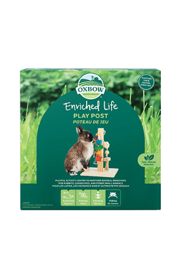 مشاركة مسرحية حياة غنية - 1