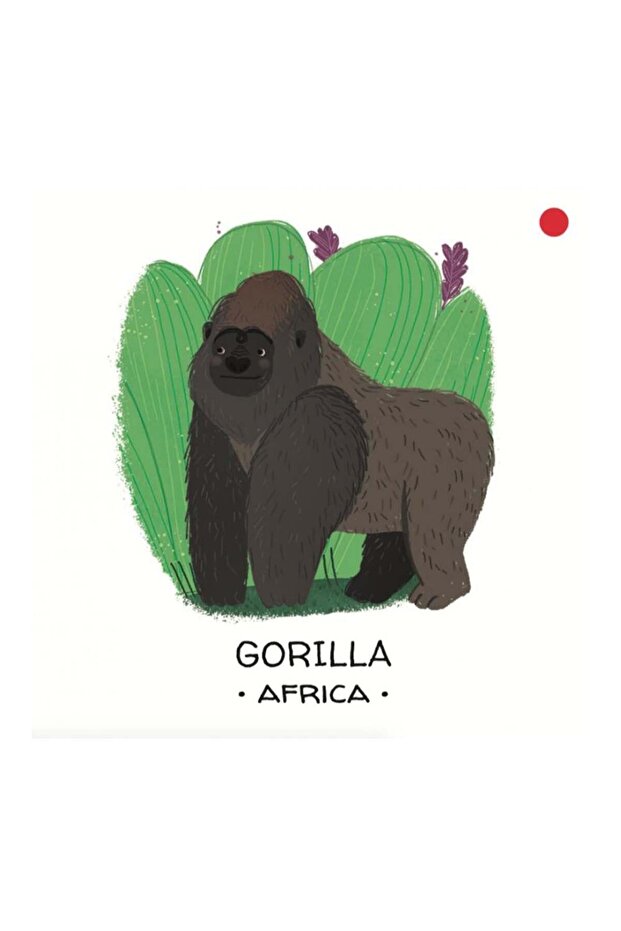 Animals To Save - Tropical Forests - 4