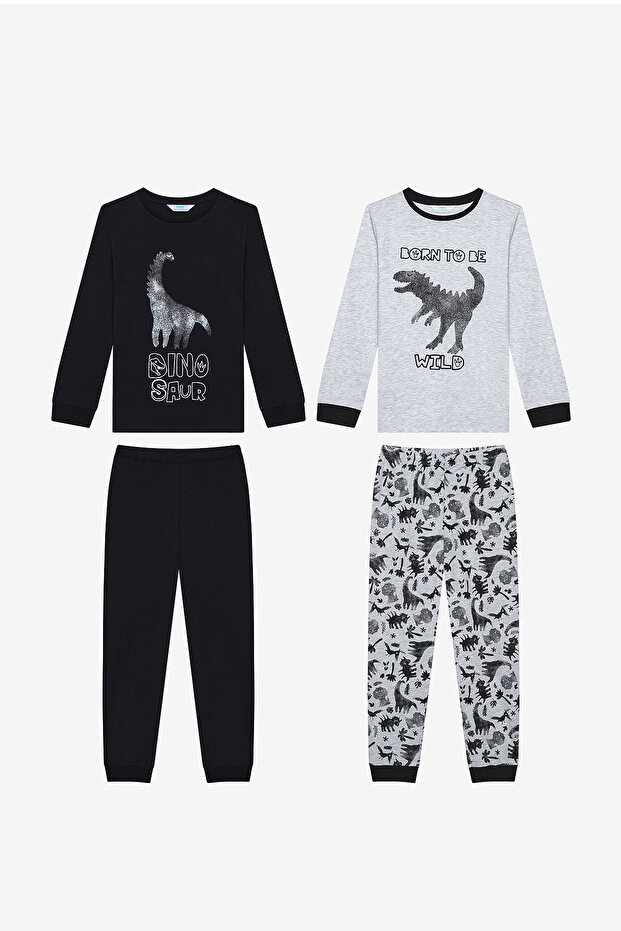 Boy's Wild Dino 2-Piece Multicolor Pajamas Set