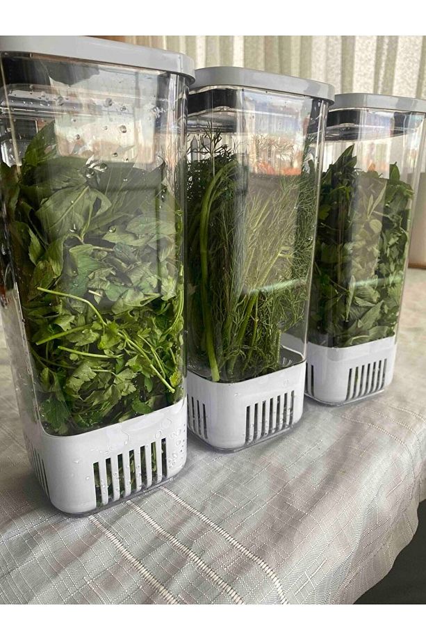 3'Lü Yeşillik Saklama Kabı 1700 ML Uzun ömürlü TAZELİK - 7