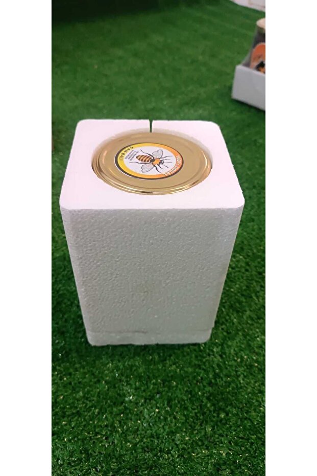 DOĞALKATKISIZÇAMBALI - 3