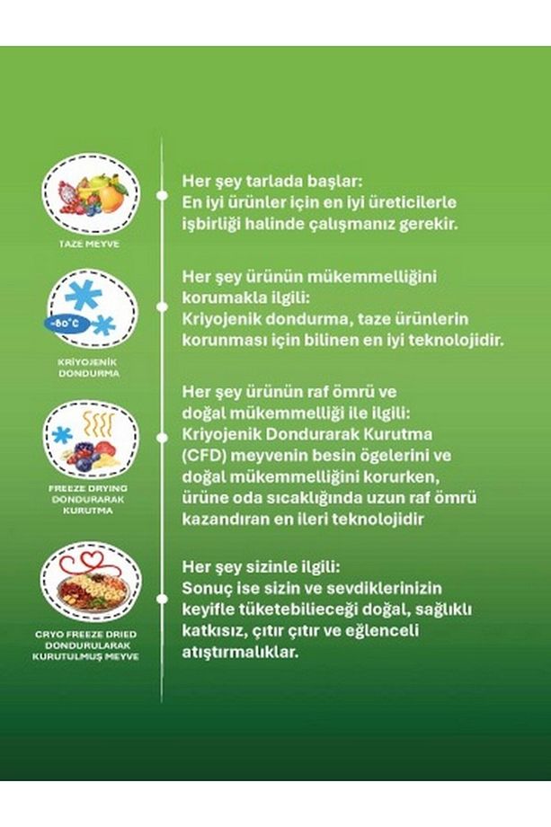 Lime Kuru Meyve Cipsi - Dondurularak Kurutulmuş Freeze Dried Misket Limonu - 3