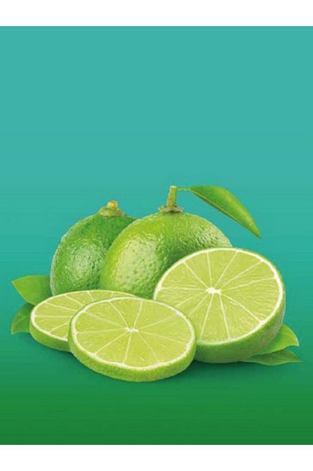 Lime Kuru Meyve Cipsi - Dondurularak Kurutulmuş Freeze Dried Misket Limonu - 2