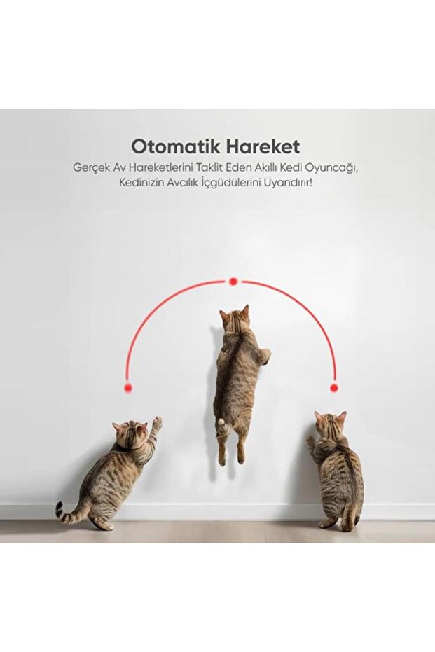 Akıllı Lazer Kedi Oyuncağı - 5