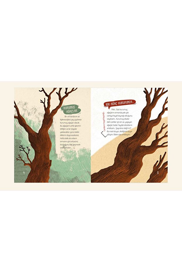 Kurumuş Aağaçlar - 3