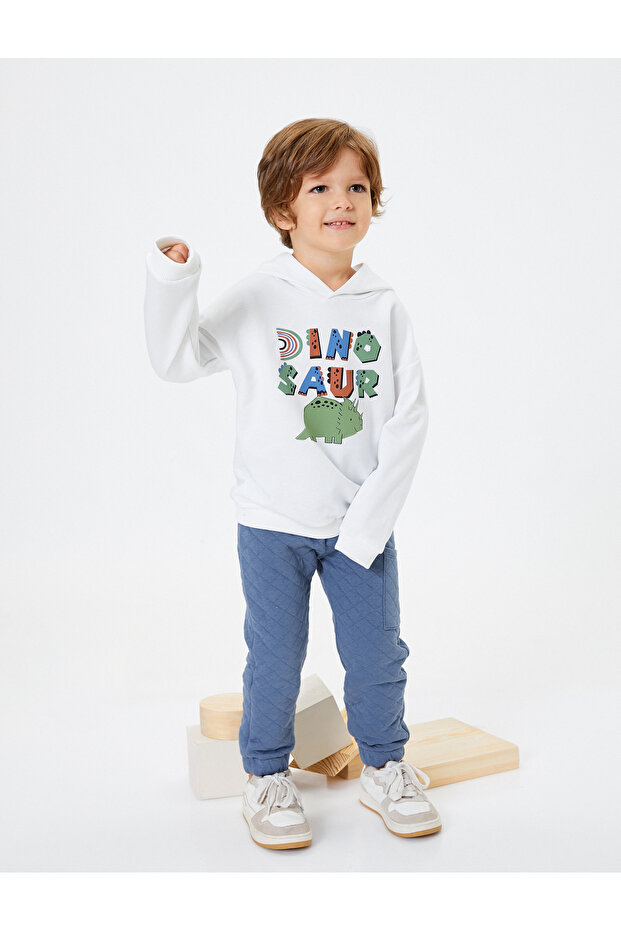 Hooded Sweatshirt Dinosaur Printed Raised Crew Neck Cotton