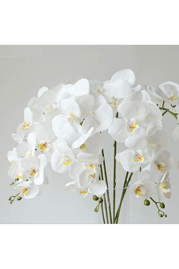 4lü Set Yapay Çiçek Beyaz Islak Orkide ve 2 Adet Orkide Yaprağı Gerçeksi Doku Uzun Dal 90cm - 3