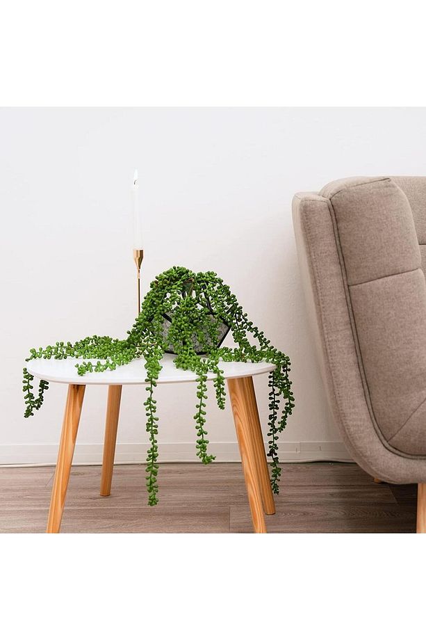 Yapay Çiçek Sarkan String Okaliptus 70cm 3dal - 6