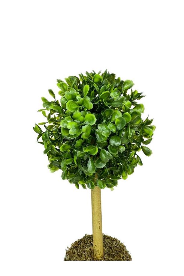 Yapay Ağaç Şimşir Top Tek Toplu 12x31cm Beyaz Saksıda - 4