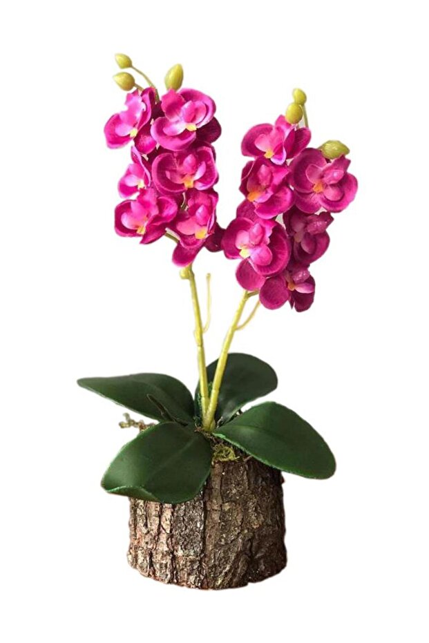 Yapay Çiçek Orkide Odun Saksılı Fuşya - 1