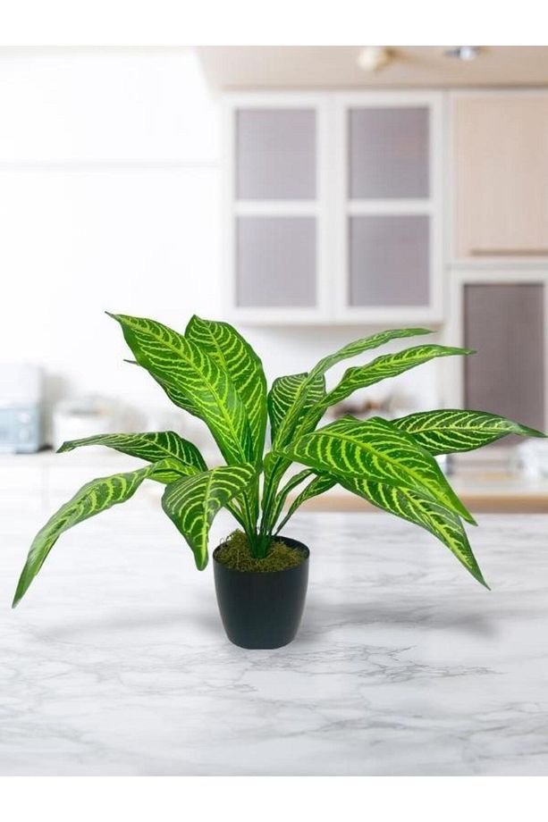 Yapay Çiçek Drecana Yukka 12yaprak Salon Çiçeği Plastik Siyah Saksılı Yapay Bitki - 6