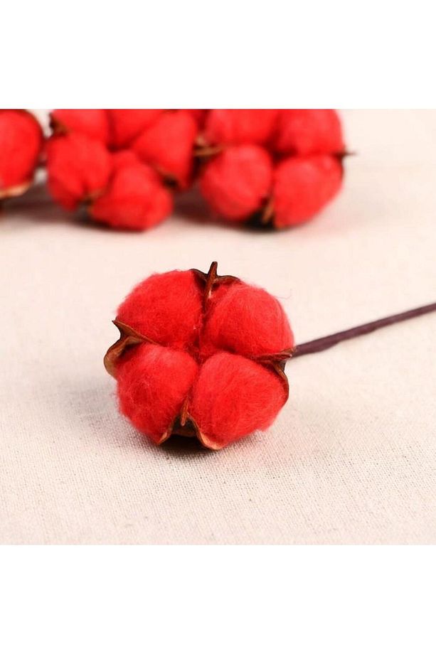 Doğal Pamuk Çiçeği Kırmızı 10 Adet Tekli Dal Kuru Çiçek 30 cm Yapay Çiçek - 2