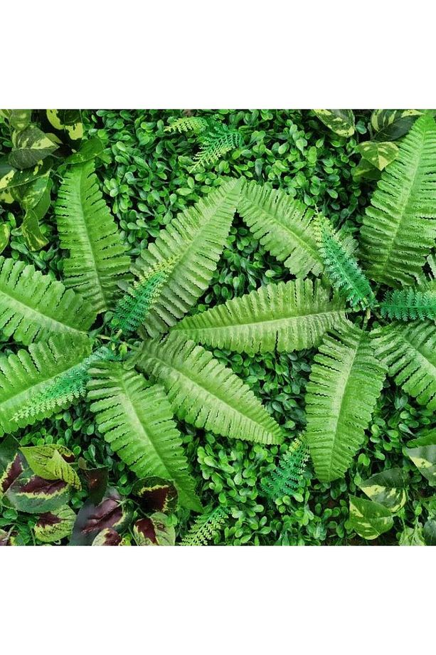 Yapay Çiçek Cycas Aşk Merdiveni Eğrelti Otu Sıkas Bitkisi 7 Dal 21 Yaprak 40*30cm Yapay Bitki - 6