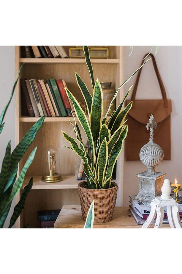 Yapay Çiçek Sansevieria Yeşil Kılıç Çiçeği 4 Adet 65cm Salon Çiçeği Yapay Bitki - 7