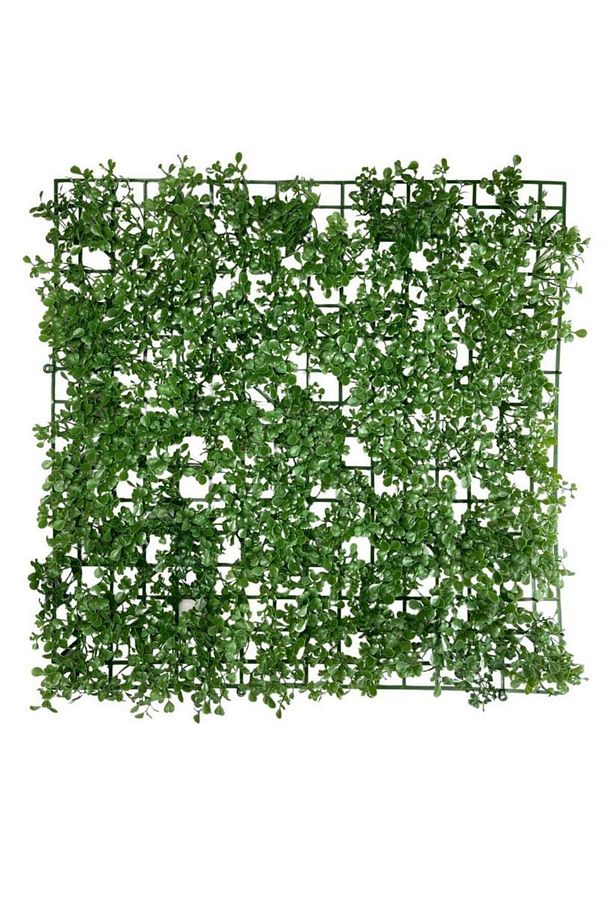 Yapay Çiçek Duvar Kaplama Panel Şimşir Tabaka 50*50cm Dik Duvar Uygulama - 1