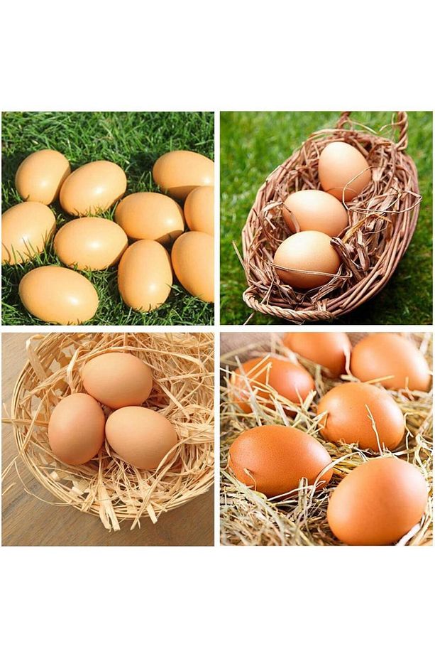 Yapay Yumurta Dekoratif Sahte Yumurta 12adet - 8