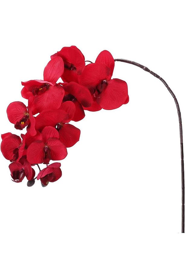 Yapay Çiçek Kırmızı Orkide Uzun Tek Dal 90 Cm - 1