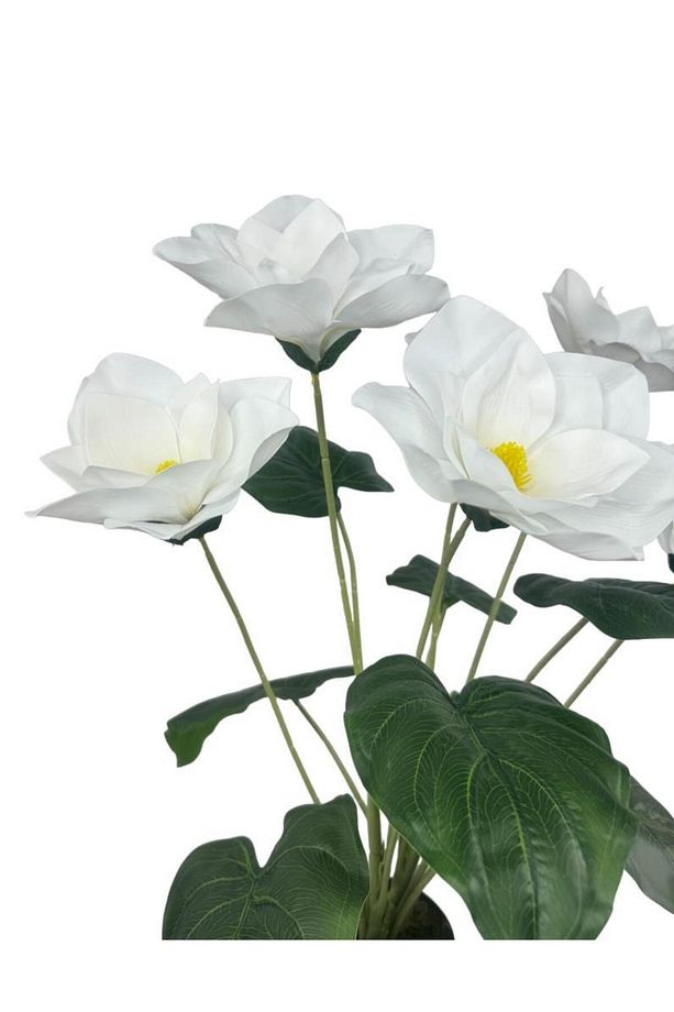 Yapay Çiçek Islak Manolya Çiçeği 6 Çiçekli 65cm Siyah Saksıda Salon Çiçeği - 6