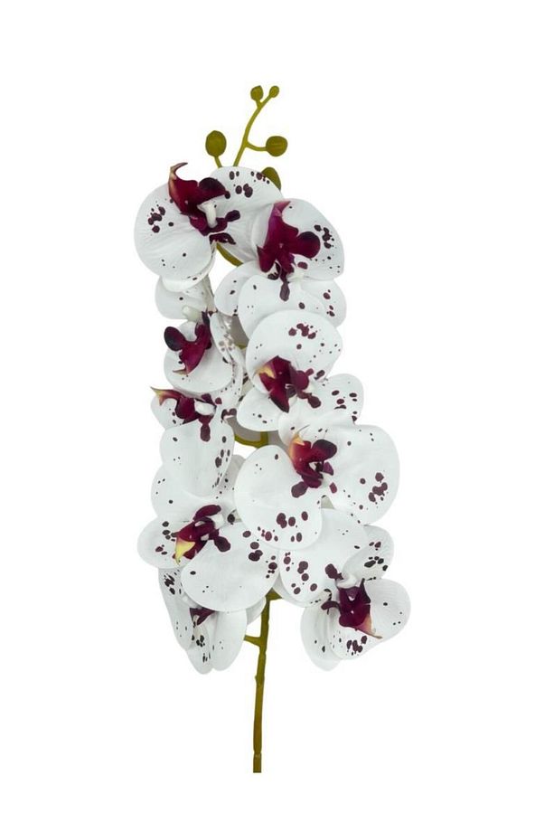 Yapay Çiçek Çilli Bordo Beyaz Islak Orkide Gerçeksi Doku Uzun Dal 90 cm - 3