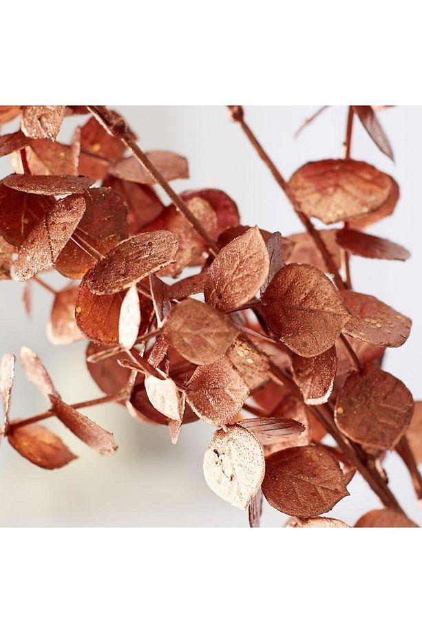 Yapay Çiçek Bakır Bronz Renk Okaliptus 3Dallı Uzun Dal 76cm Eucalyptus - 5