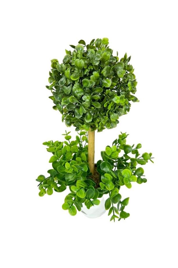 Yapay Ağaç Şimşir Top Tek Toplu Şimşirli 12x31cm Beyaz Saksıda - 2