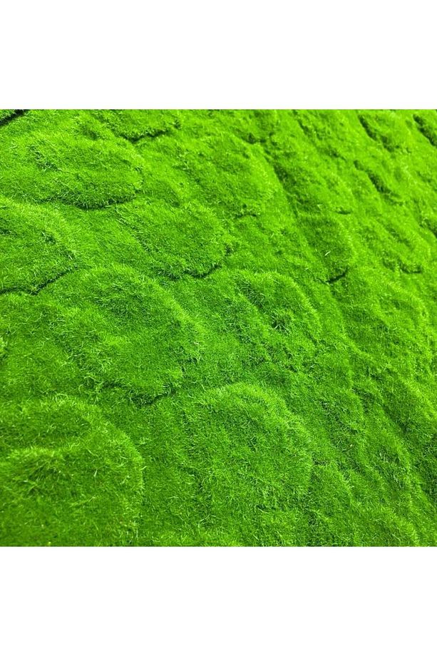 Yapay Çiçek Duvar Kaplama Yosun Paneli 1M2 100*100CM Moss Dik Duvar Uygulama - 3