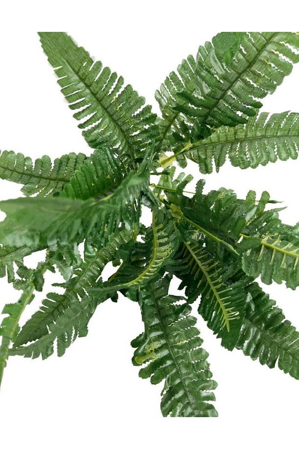 Yapay Çiçek Cycas Aşk Merdiveni Eğrelti Otu Sıkas Bitkisi 7 Dal 21 Yaprak 40*30cm Yapay Bitki - 2