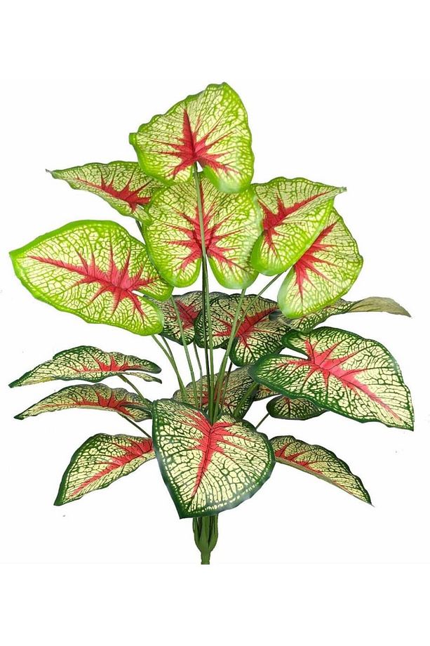 Yapay Çiçek Demet Tropik Kızıl Caladium 18 Dal 70 cm Salon Çiçeği Yapay Bitki - 1