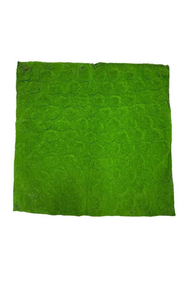 Yapay Çiçek Duvar Kaplama Yosun Paneli 1M2 100*100CM Moss Dik Duvar Uygulama - 2