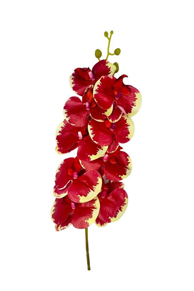 Yapay Çiçek Kırmızı Krem Islak Orkide Gerçeksi Doku Uzun Dal 90 cm - 4