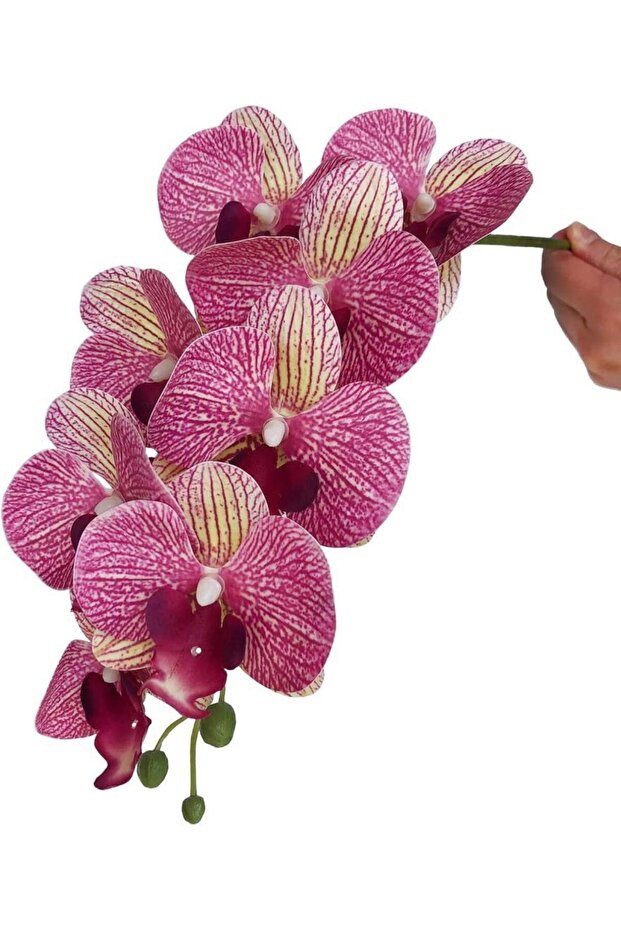 4lü Set Yapay Çiçek Fuşya Çilli Islak Orkide ve 2 Adet Orkide Yaprağı Gerçeksi Doku Uzun Dal 90cm - 6