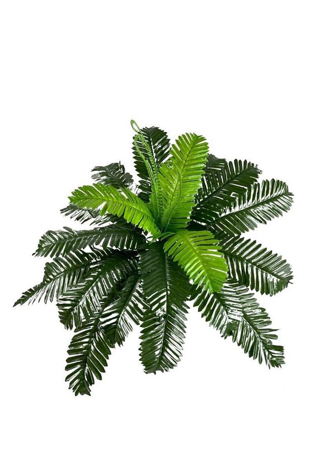 Yapay Çiçek Cycas Aşk Merdiveni Eğrelti Otu Sıkas Bitkisi 24 Yaprak 45*60 Cm Yapay Bitki - 3