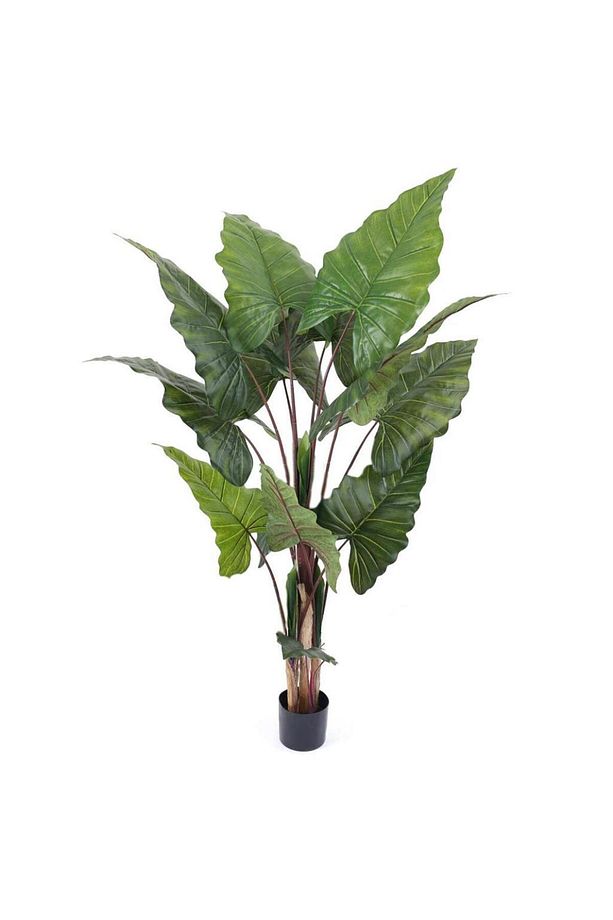 Yapay Ağaç Dev Fil Kulağı Taro Ağacı 170 Cm 11 Yaprak - 1