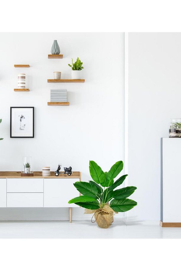 Yapay Çiçek Keten Hasır Saksıda Yeşil Muz Yapraklı 12Dal 50cm Salon Çiçeği Yapay Bitki - 4
