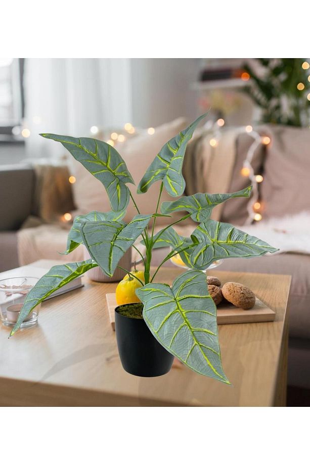 Yapay Çiçek Fil Kulağı Açık Yeşil Islak Doku Salon Bitkisi Siyah Saksıda 40cm 9 Yapraklı - 5