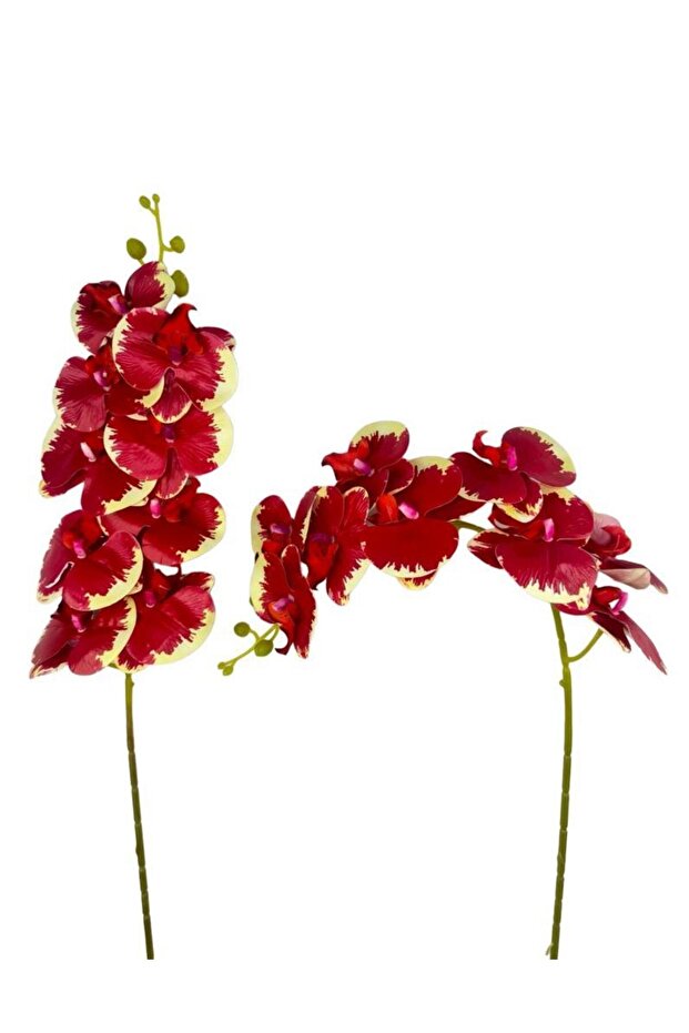 Yapay Çiçek Kırmızı Krem Islak Orkide Gerçeksi Doku Uzun Dal 90 cm - 2