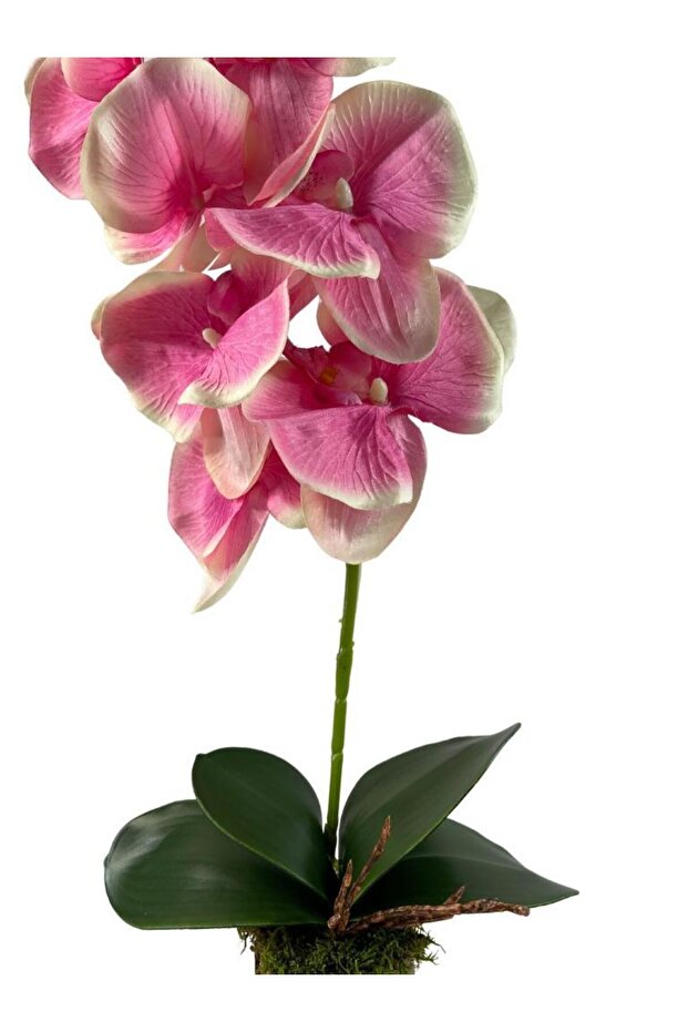 Yapay Çiçek Kütük Saksılı Tekdal Orkide Pembe 50*30cm - 3