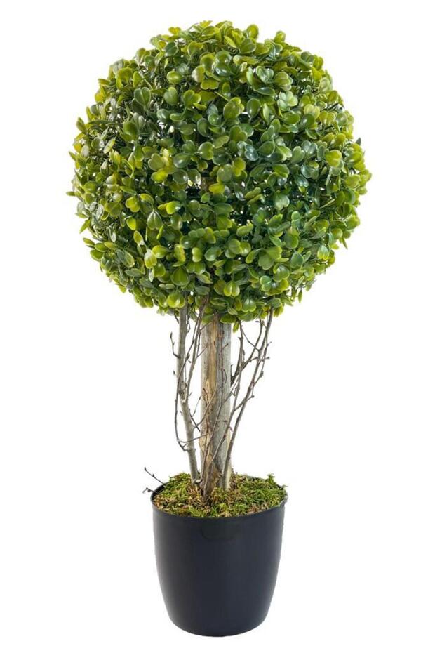 Yapay Ağaç Şimşir Top Tek Toplu 23cmx45cm Siyah Saksılı - 1