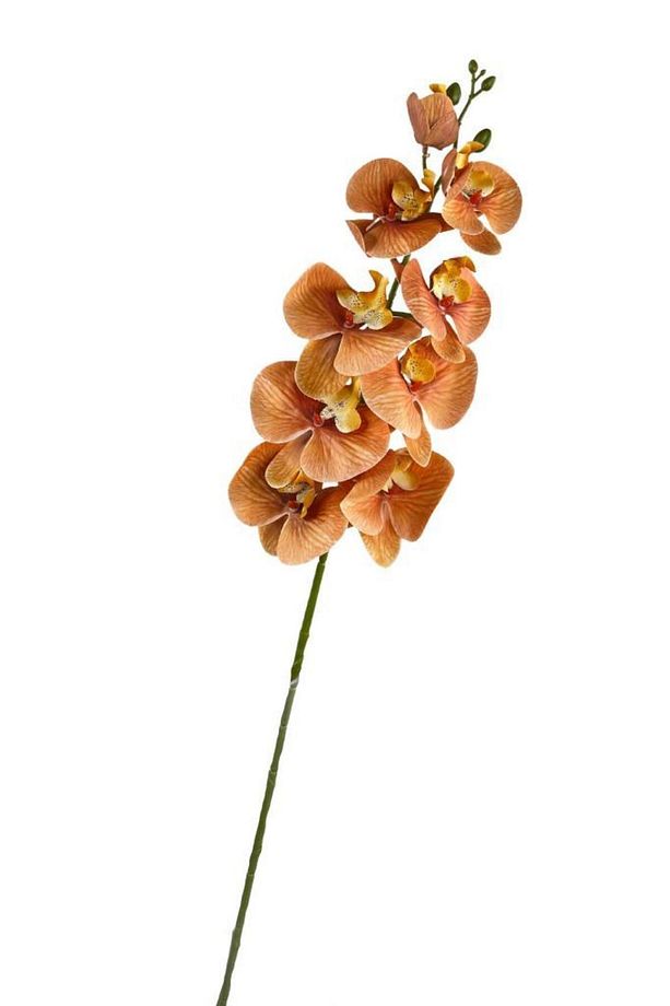 Yapay Çiçek Somon Rengi Islak Orkide Uzun Dal 90 Cm Orkide - 5